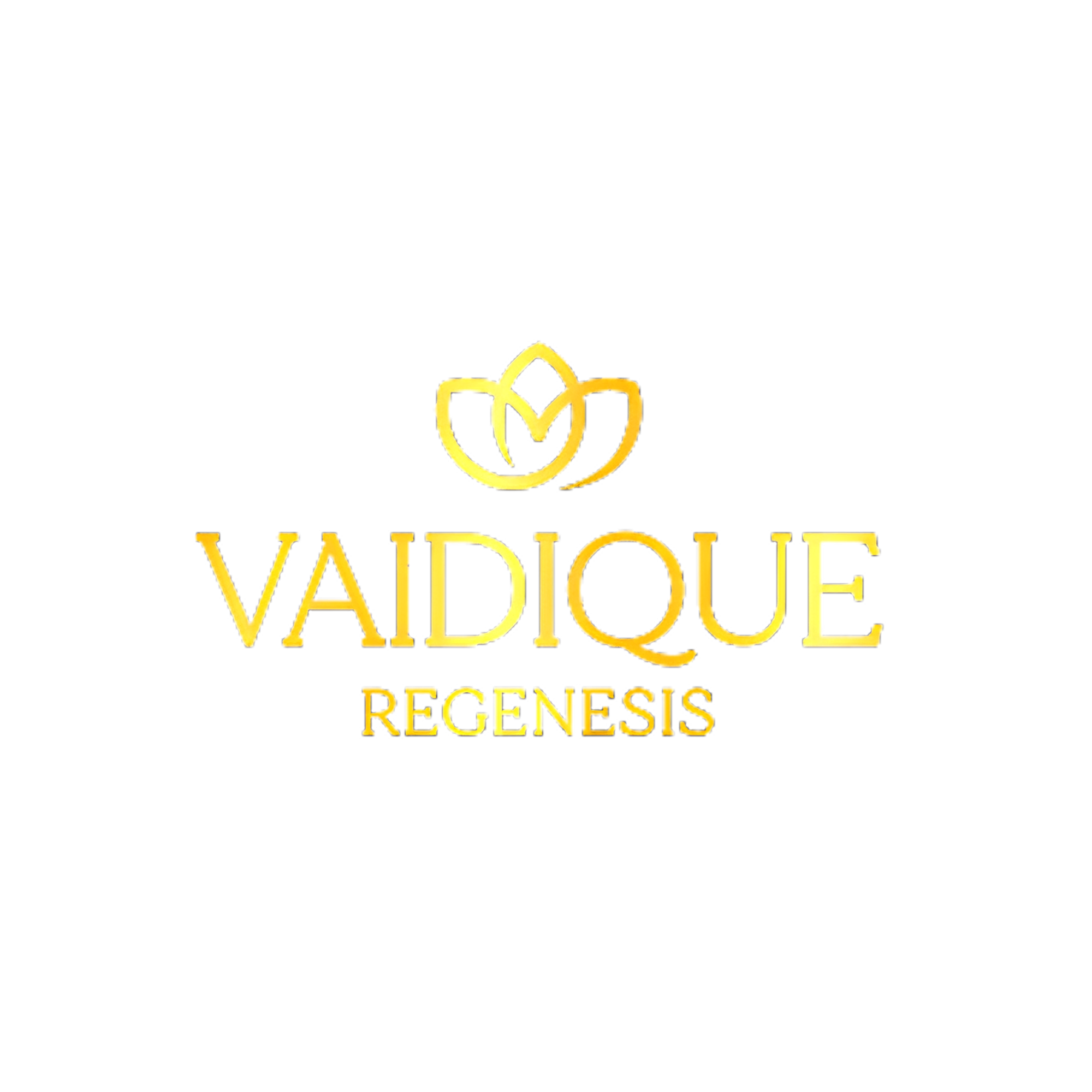 Vaidique